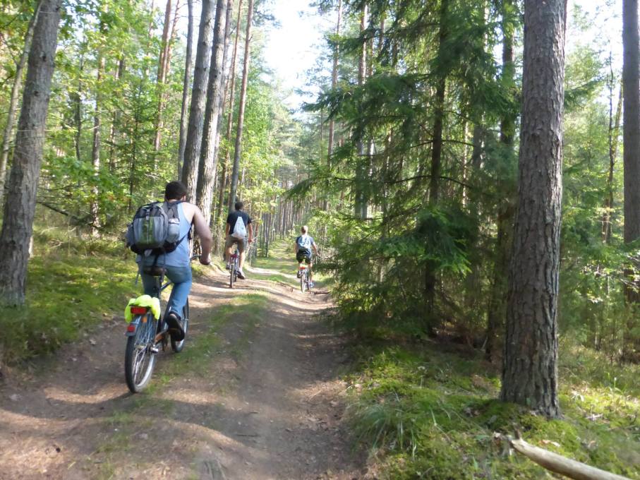 14310570_1261876480491540_5012632110439864985_o-2