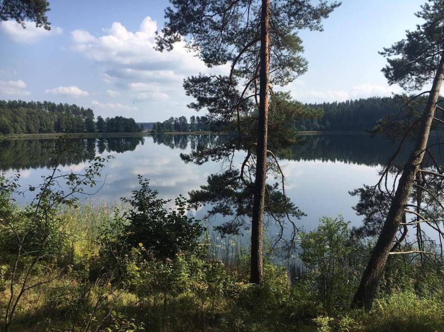 14339340_10210679830333569_1751164604_o