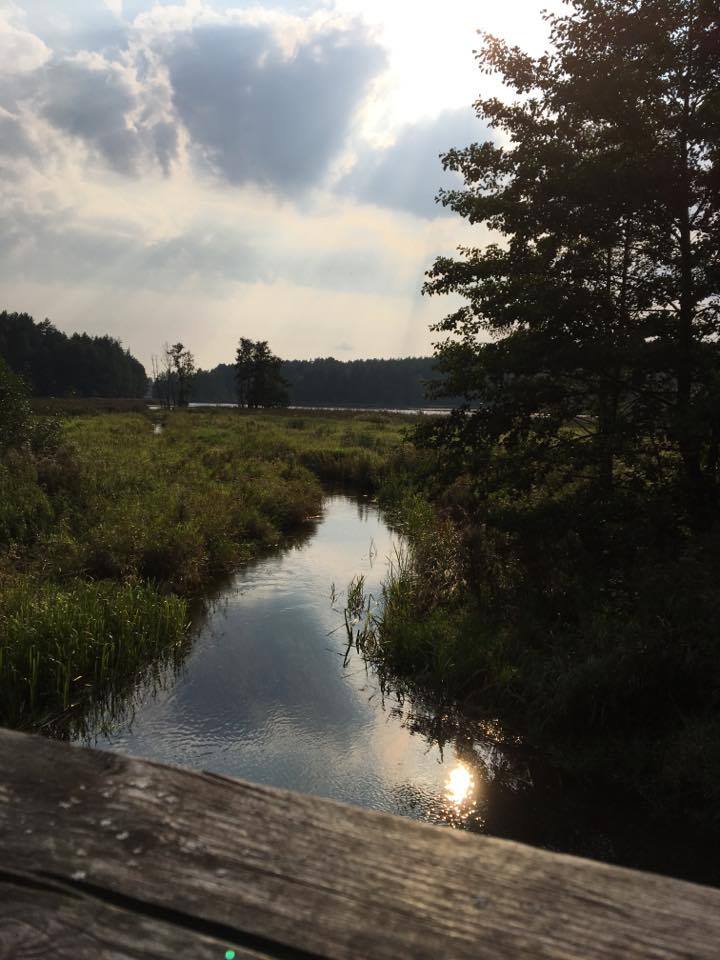 14341363_1227829103955482_2090321179_n