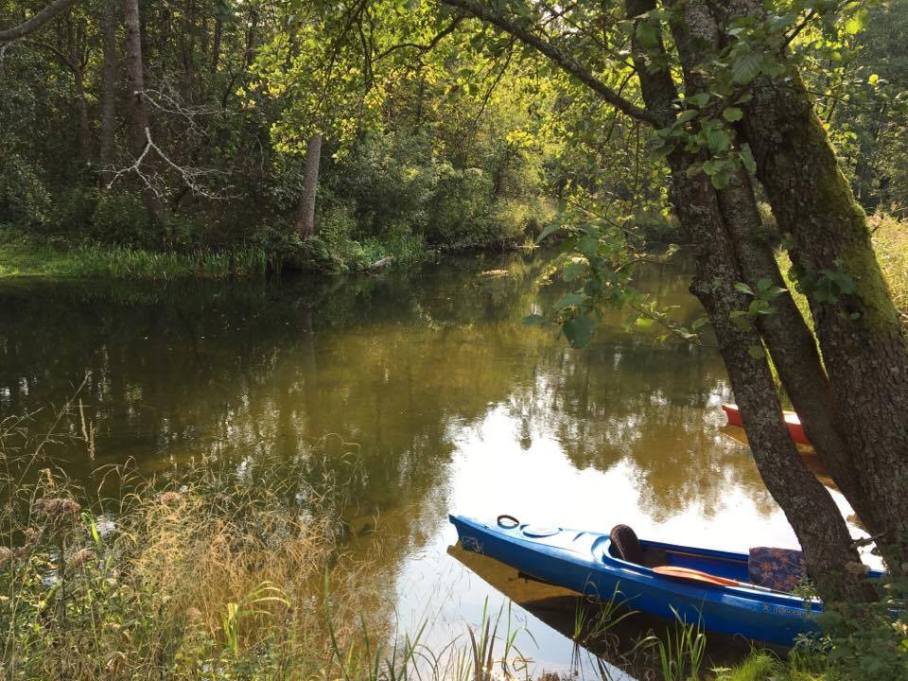 14341600_1227829083955484_1892017623_n